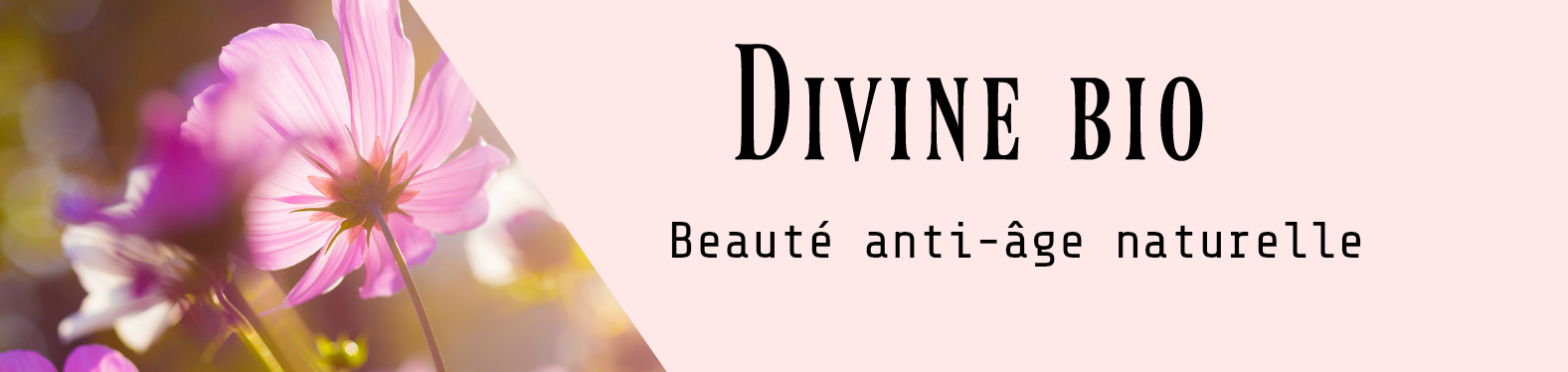 Divine bio